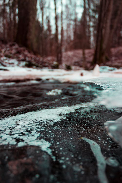 Shallow Focus Photo Of Grey Ground