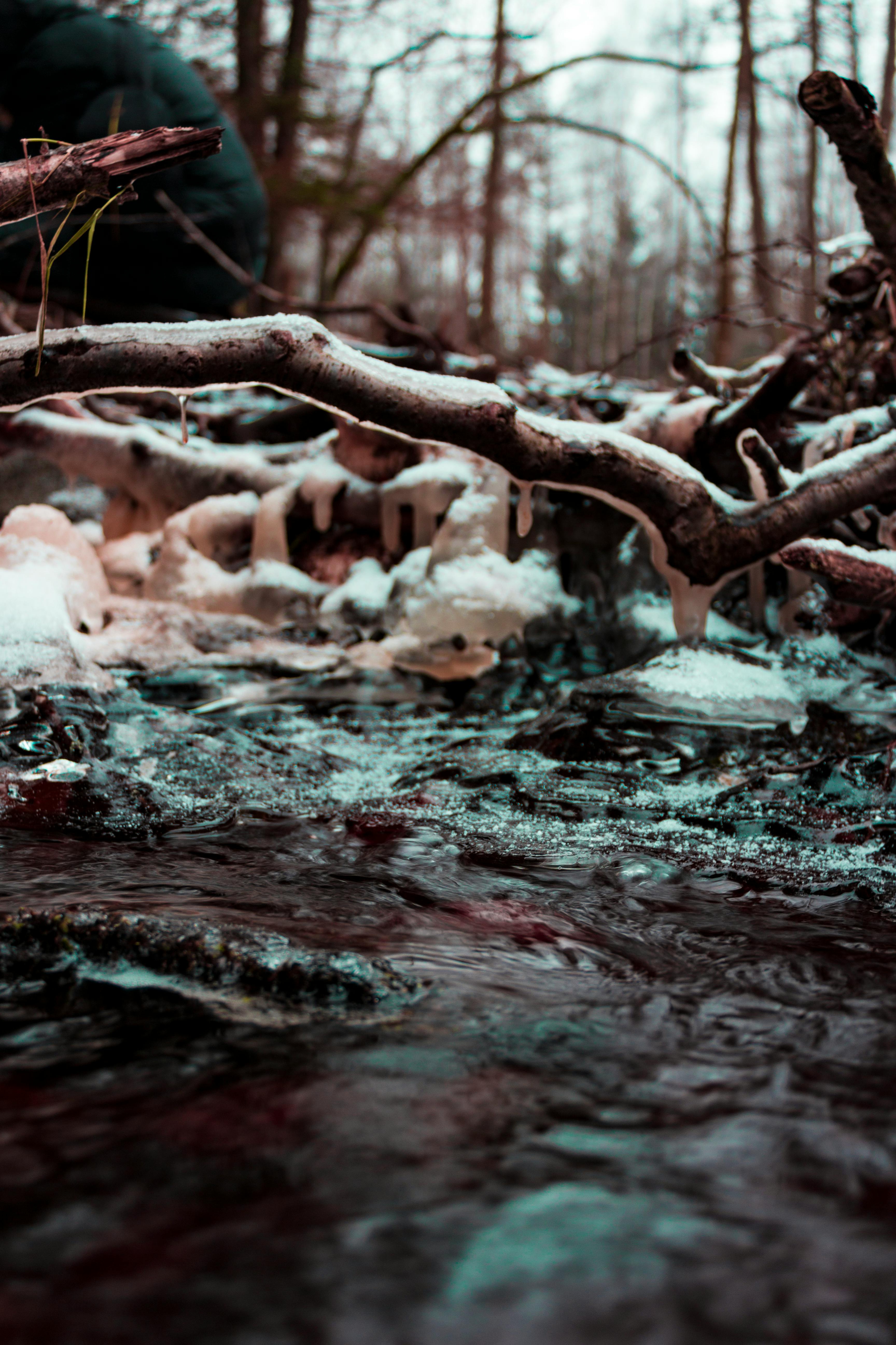 寒冬的森林里，一条宁静的小溪在白雪覆盖的树枝下静静流淌