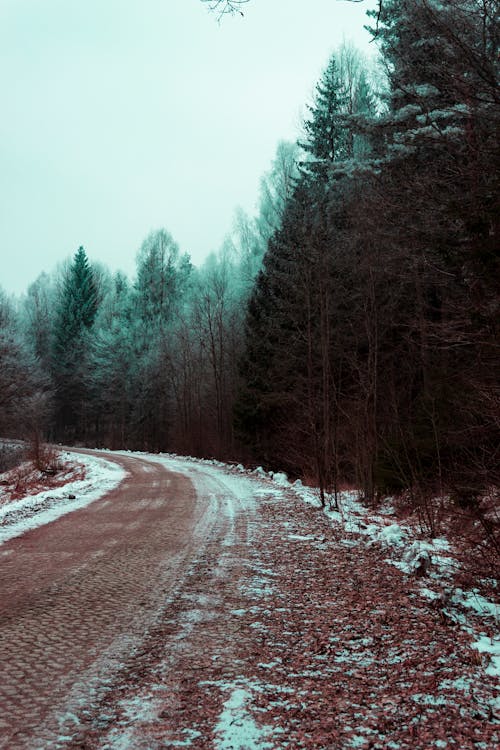 Fotobanka s bezplatnými fotkami na tému cesta, chladný, exteriéry