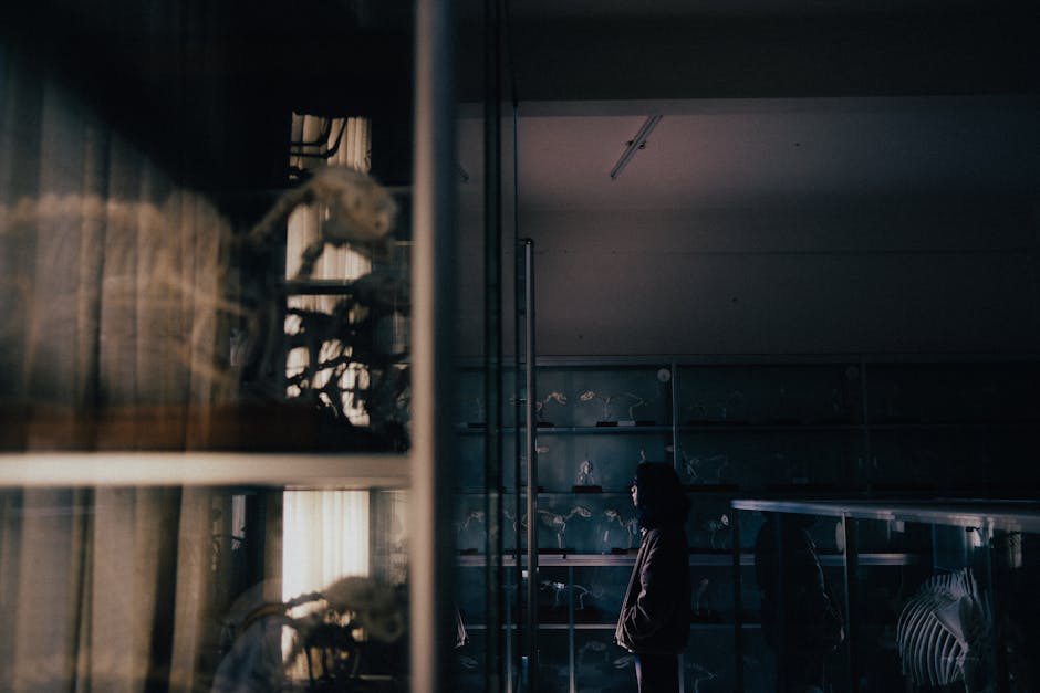 A woman observing animal skeletons in a dimly lit laboratory display.
