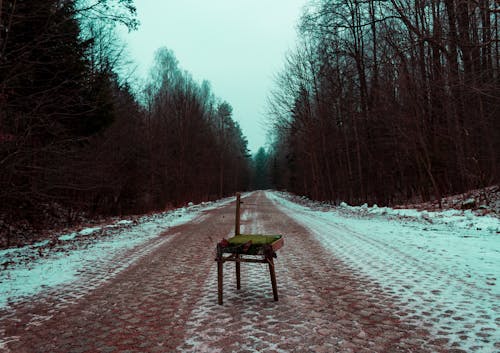 Ağaçlarla çevrili Yolun Ortasındaki Kırık Kahverengi Sandalyenin Fotoğrafı