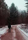 一个孤独的身影沿着白雪皑皑的林间道路行走，捕捉到了冬日孤独的本质