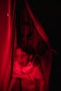 Girl coming out from hide behind curtains screaming of fear