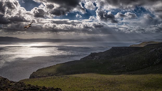 A stunning seascape featuring a bird in flight under dramatic clouds and sunrays over a rocky coastline.