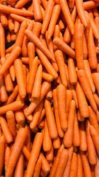Close-up of a vibrant pile of freshly harvested organic carrots, showcasing their bright orange color.