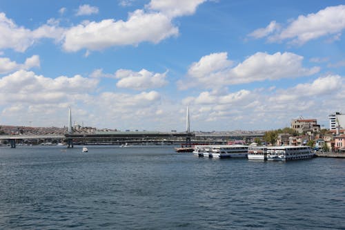 Ferry Boats Docked on a Pier