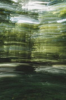 An artistic motion blur captures a vibrant green forest, creating a dynamic nature scene.