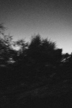 Black and white photo capturing a blurred silhouette of trees against a twilight sky.