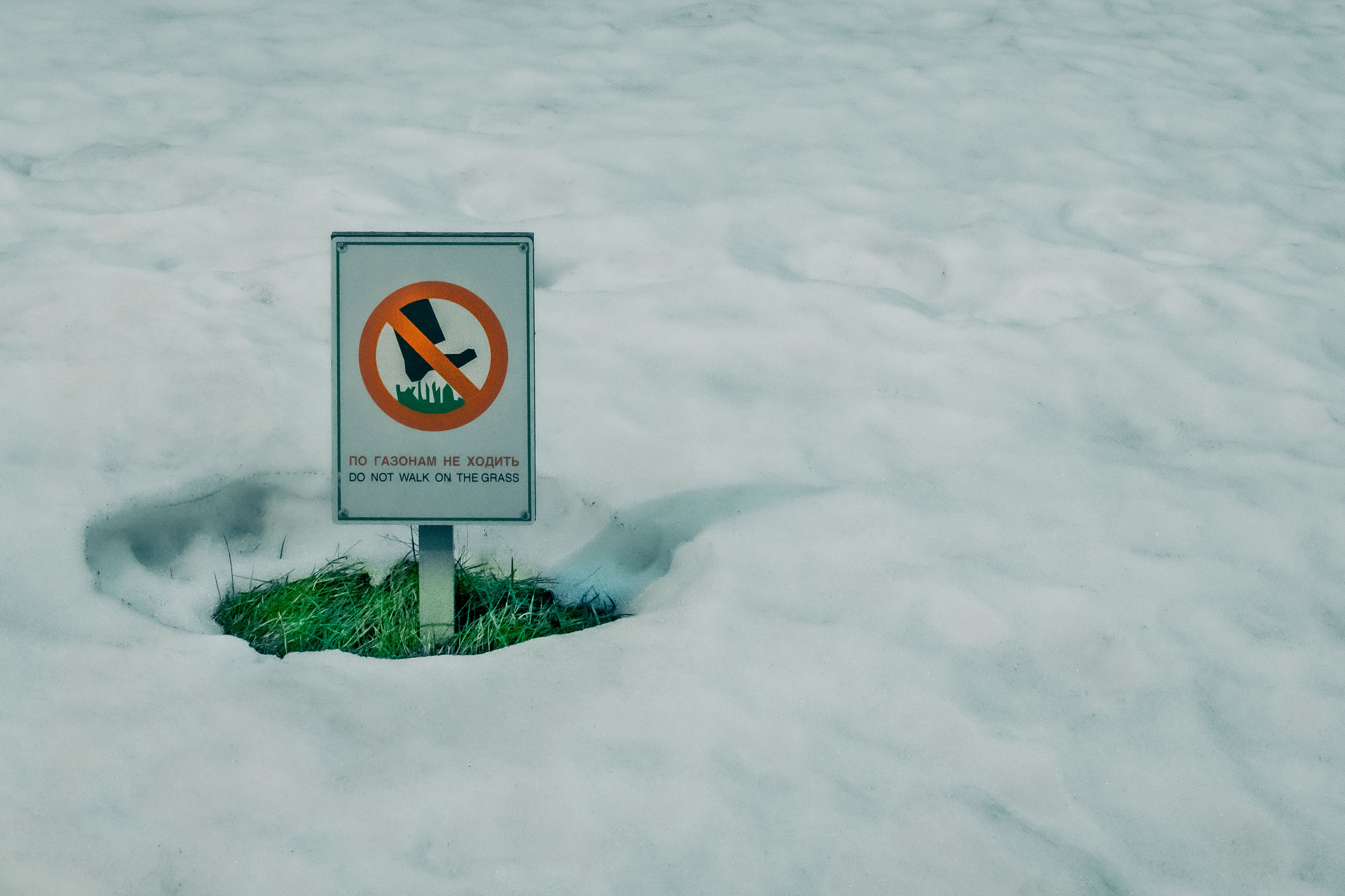 Be careful who you vote for in local elections on Thursday | Brief letters — Photo by Anton Ivanov on Pexels