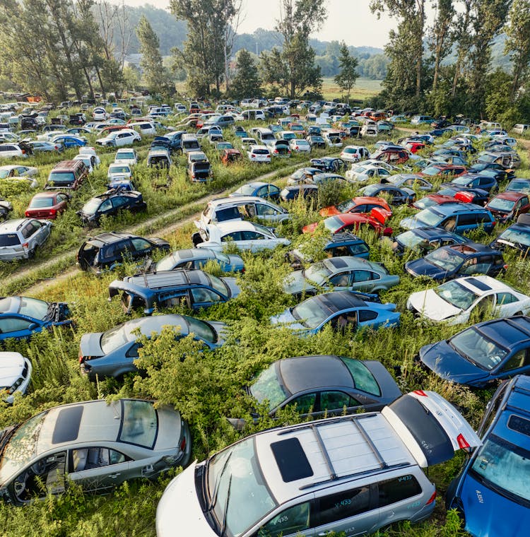 Cars In The Grass In A Junk Yard