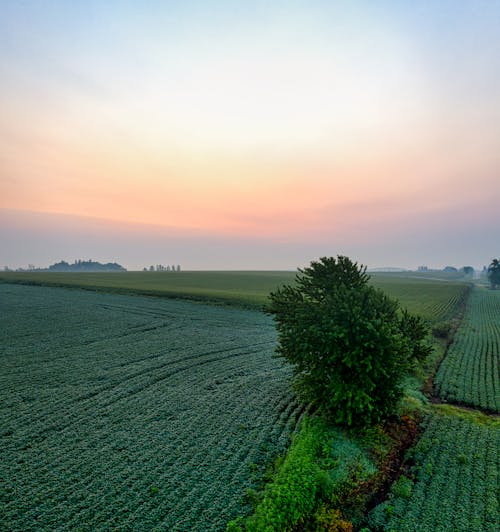 Δωρεάν στοκ φωτογραφιών με αγρόκτημα, αγροτικός, αυγή Φωτογραφία από στοκ φωτογραφιών