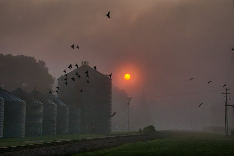 Silos In A Factory During The Golden Hour