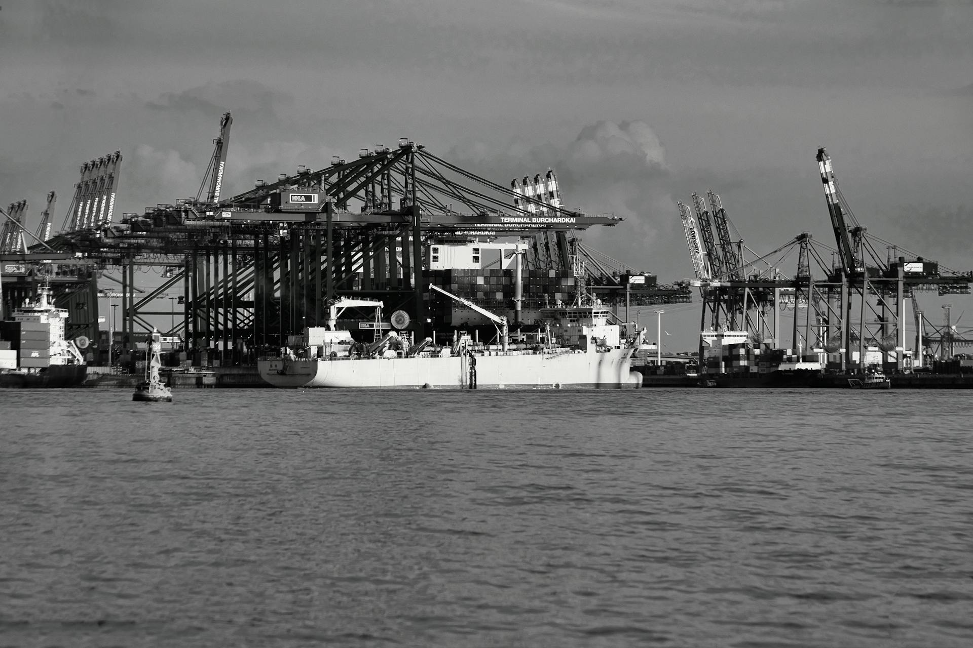 Monochrome photo of bustling port with cranes and cargo ships showcasing maritime industry.
