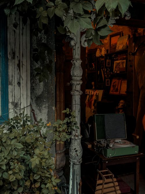 Free Cozy vintage store entrance with retro decor items and lush greenery. Stock Photo