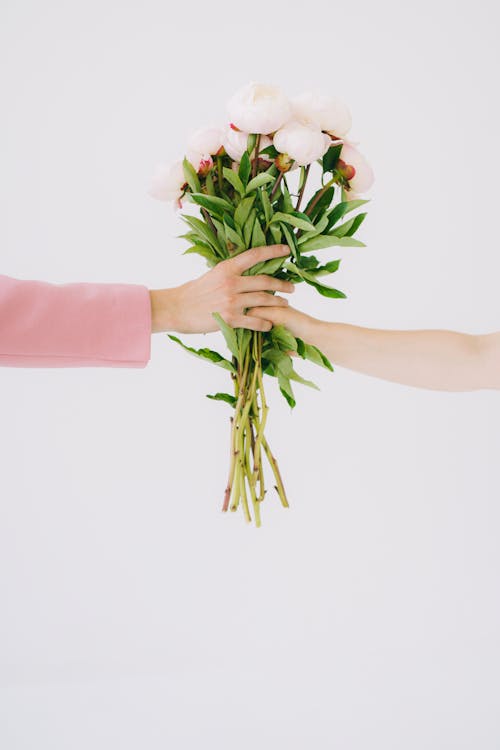 Human hands holding flowers