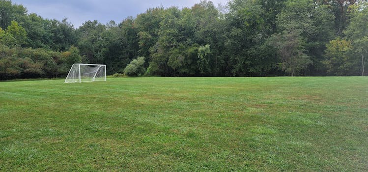 A peaceful outdoor soccer field with goalposts surrounded by lush green trees, perfect for sports photography.