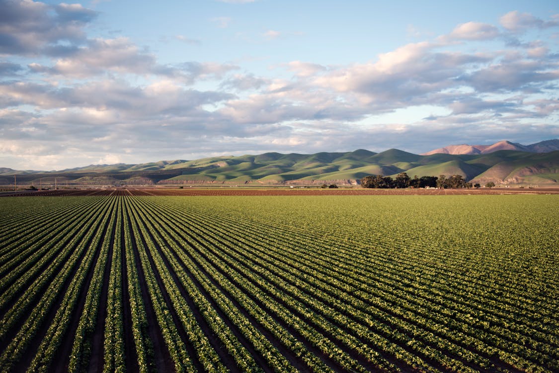 Photo of Green Field Near Mountains