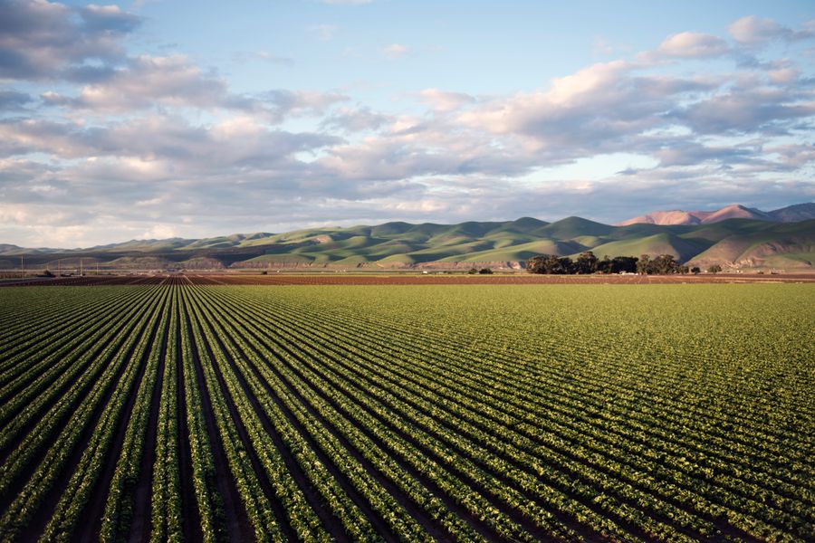 Operatore Agricolo