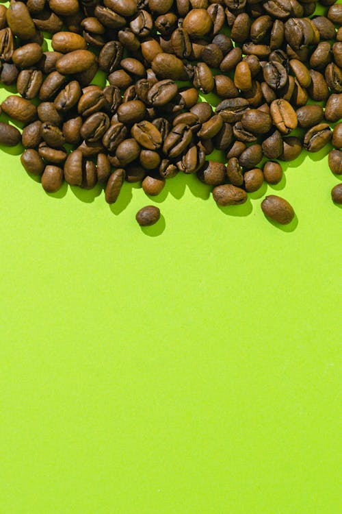Brown Coffee Beans on Light Green Background