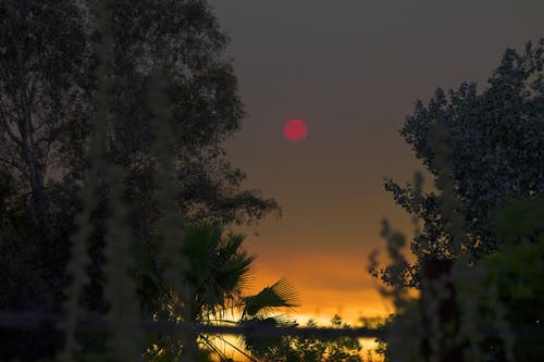 Ingyenes stockfotó tájkép, vörös hold témában