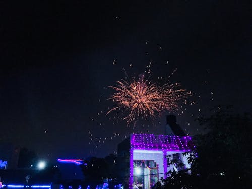agra, Festival, Hindistan içeren Ücretsiz stok fotoğraf