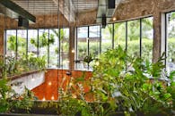 艾哈迈达巴德那家明亮的咖啡馆，室内植物郁郁葱葱，还有阳光明媚的大窗户