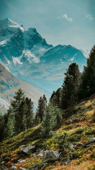 Stunning mountain landscape with lush green trees at the forefront, showcasing the beauty of nature.