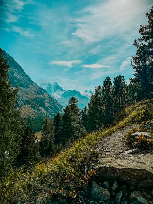 Free A breathtaking view of a mountain landscape with trees and a clear blue sky, perfect for nature enthusiasts. Stock Photo