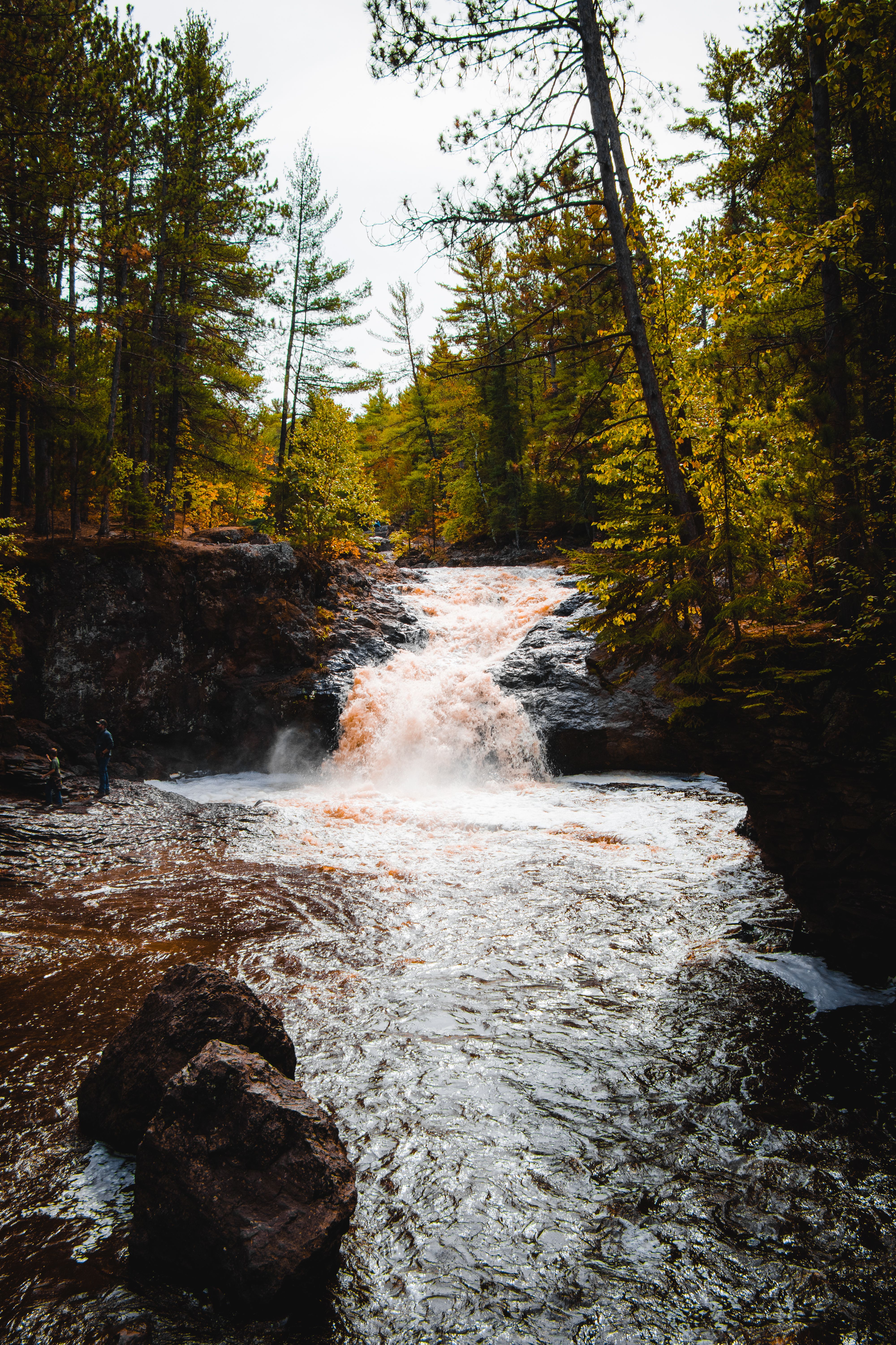 A Waterfall in the Forest · Free Stock Photo