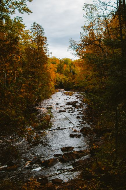 Explore the serene beauty of a river amidst vibrant fall foliage in Superior, Wisconsin.