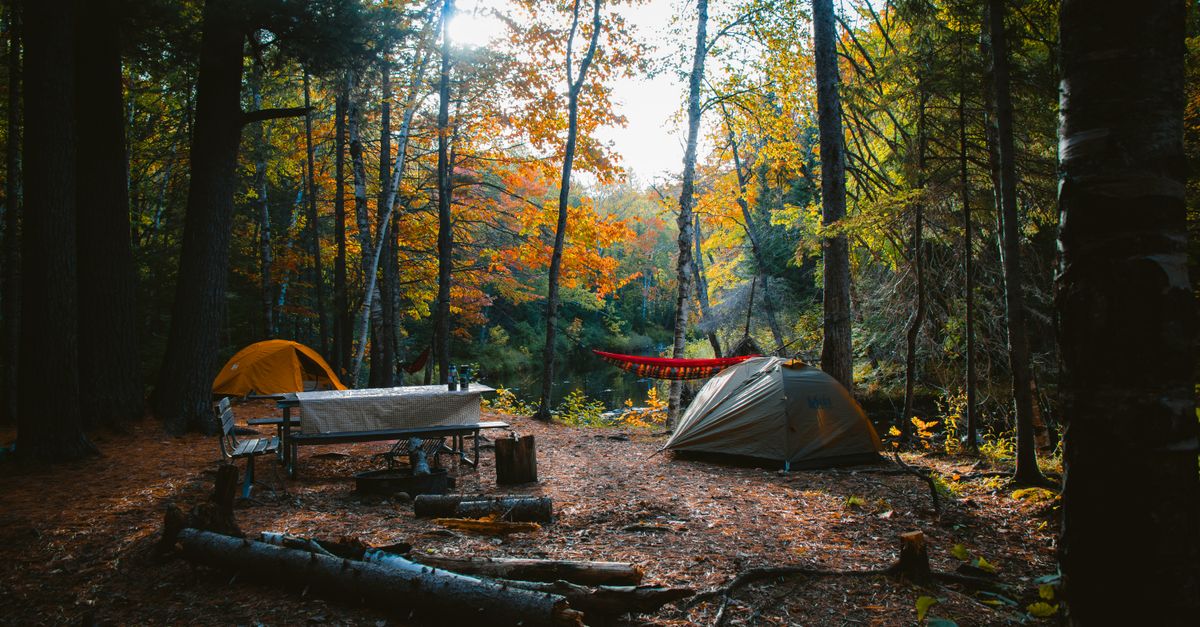 A serene camping site in a colorful autumn forest in Wisconsin, featuring tents and campfire setup.