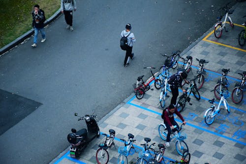 Foto stok gratis jalan, kampus, mahasiswa