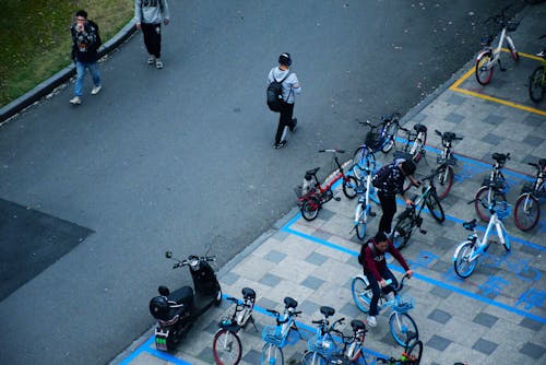 大學, 大學生, 學校 的 免費圖庫相片