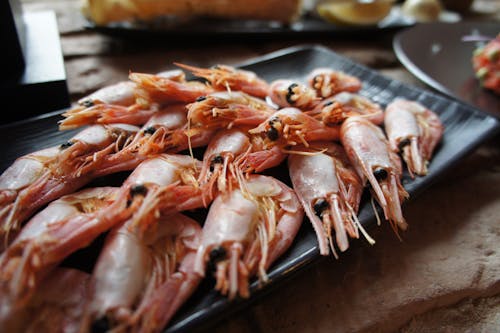 Free stock photo of food, foodphoto, prawn