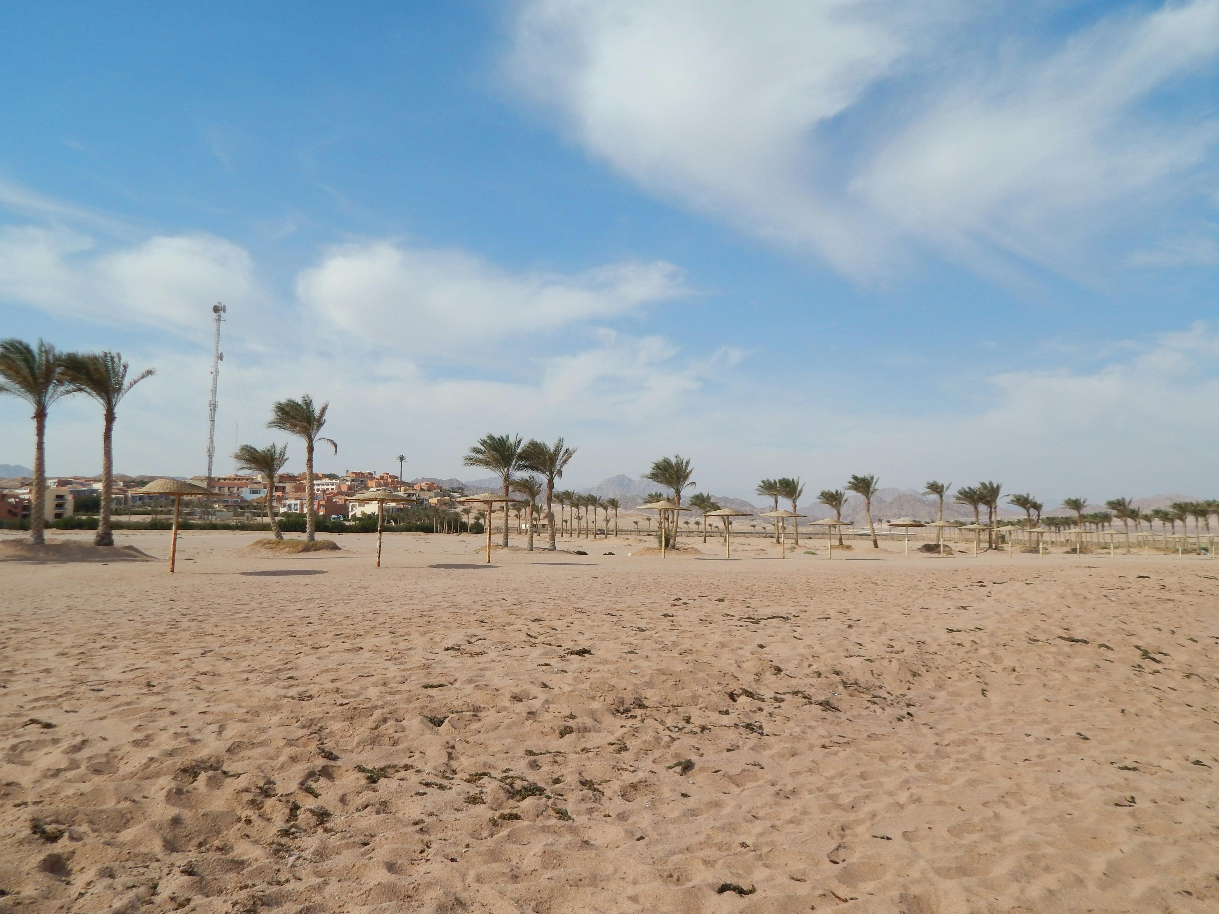 长春租赁公司如何用肇新智能文档比对处理复杂版式租赁协议的修订