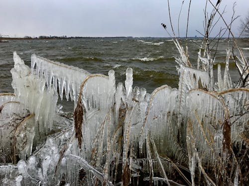 Free stock photo of cold, ice, water