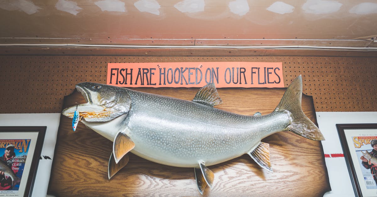 Angler Fishing: Key Developments and Trends to Watch in 2025