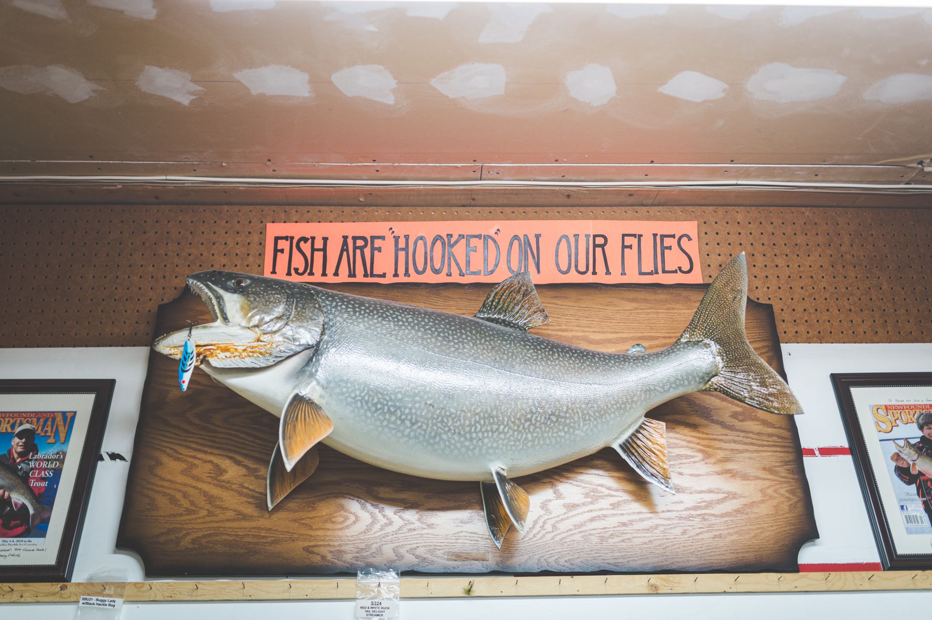 Decorative Silver Fish mounted on a Wall