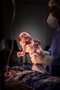 Doctor holding newborn baby