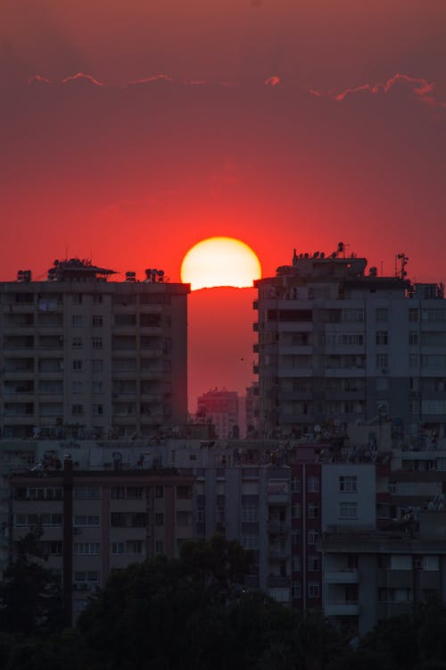 A Sunset  Between Concrete Buildings during Night Time