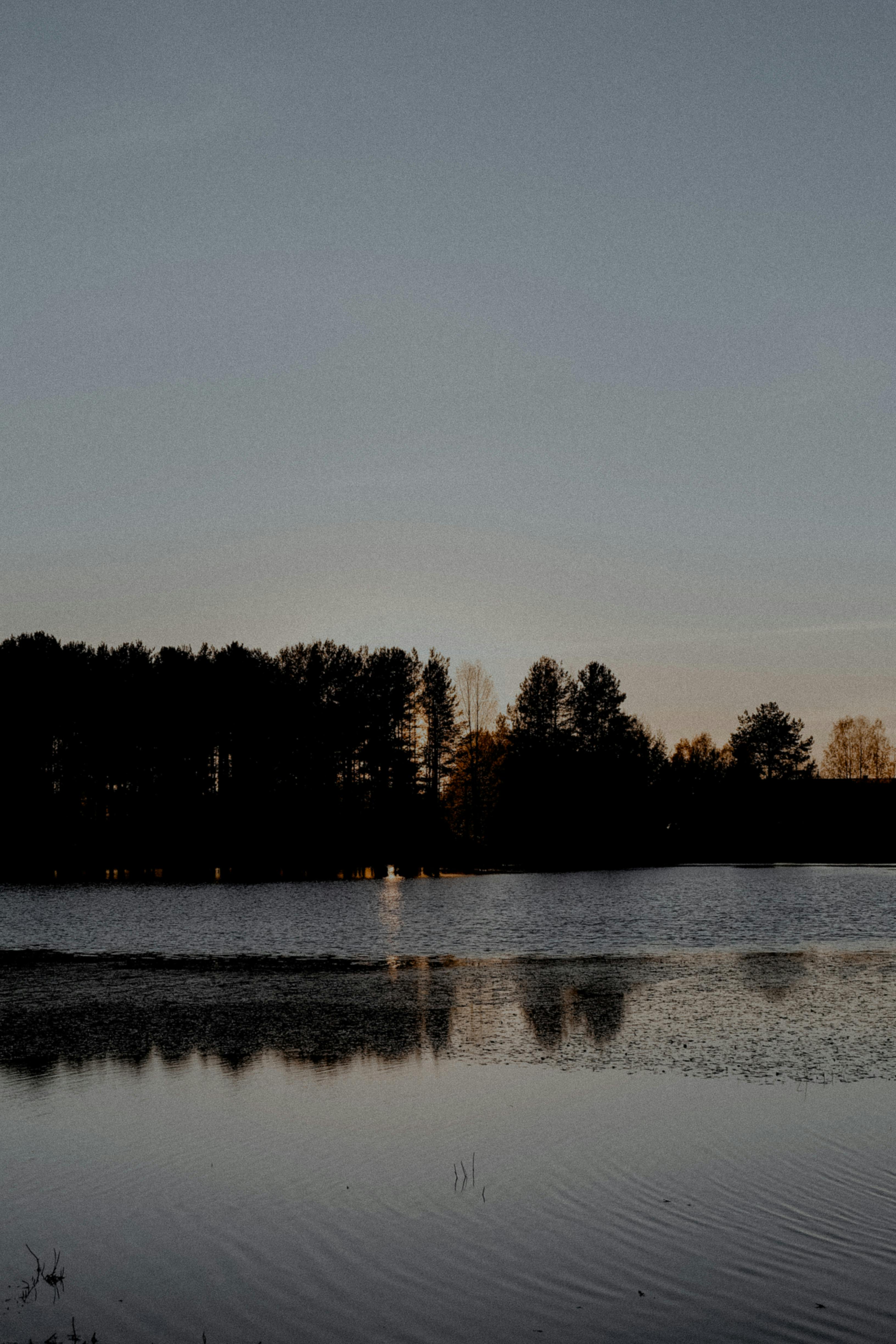 Peaceful sunset over a lake with tree reflections and silhouettes.