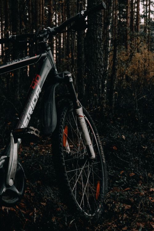 Free Close-up of a mountain bike parked in a dense forest. Dark and moody atmosphere. Stock Photo