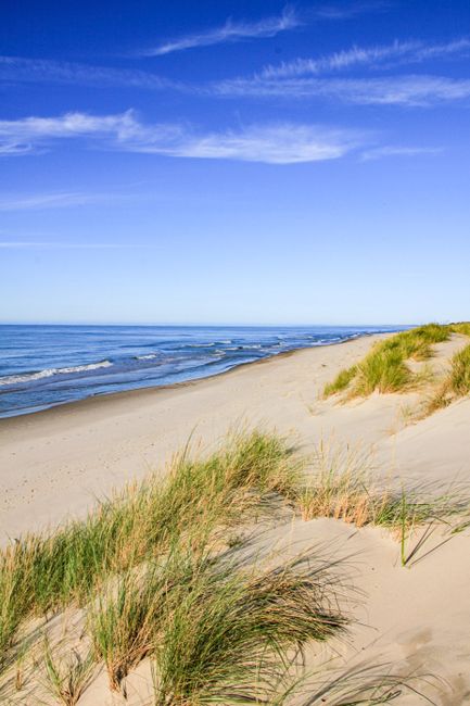 Peaceful beach scene with gentle waves, blue sky, and grassy dunes under the sun.