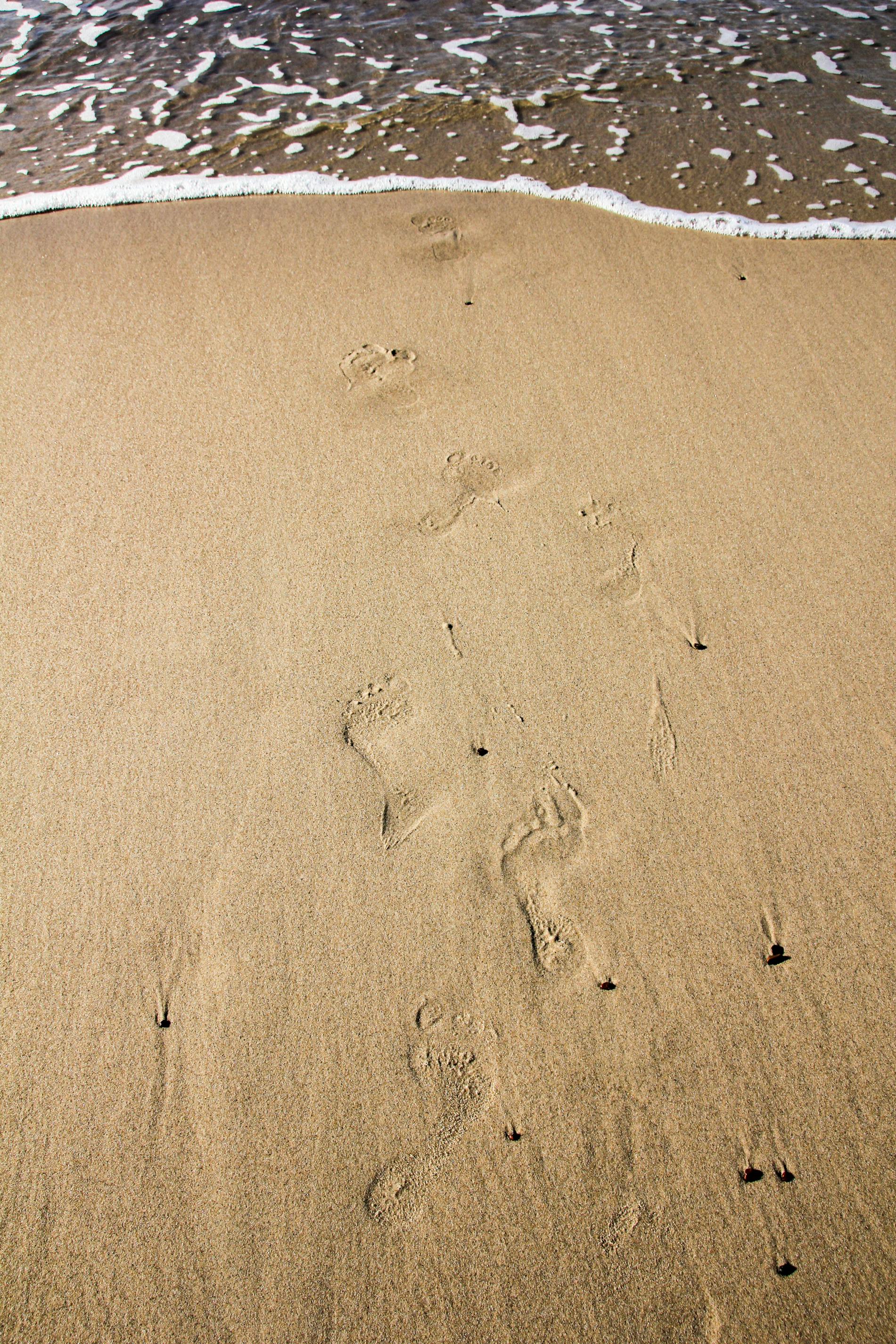 Footprints On Sand · Free Stock Photo