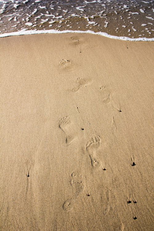 Free Footprints in sand near incoming waves on a sunny beach day. Stock Photo