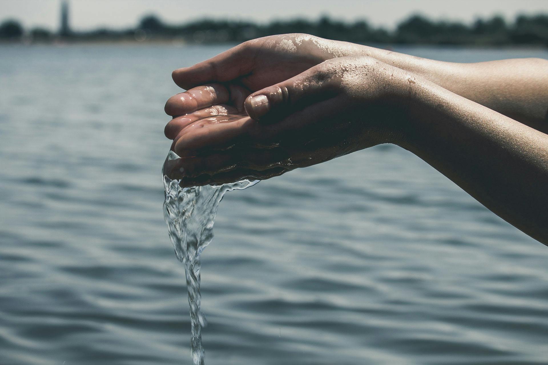 person pouring water photography