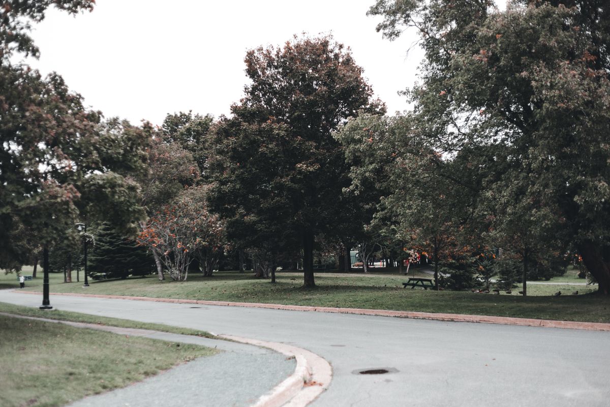 木々の間を通る公園の園路