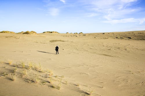 Kostenloses Stock Foto zu abenteuer, allein, draußen