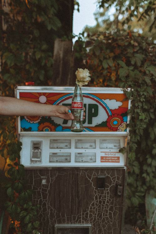 Free A hand holding a vintage Coca Cola bottle with a flower against a colorful vending machine outdoors. Stock Photo