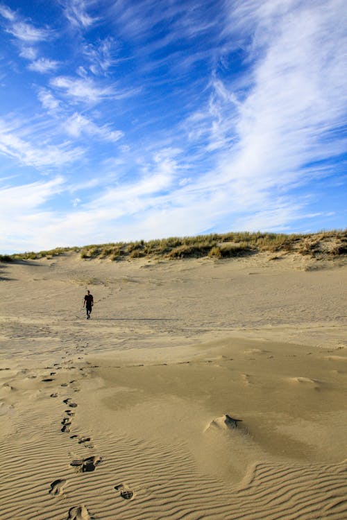 걷고 있는, 남자, 모래의 무료 스톡 사진